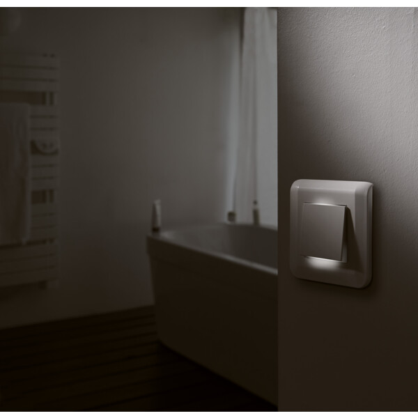 Plaque de Finition Blanc pour 2 Modules Mosaic Legrand EU (NF 078802L) - Legrand - 277802L