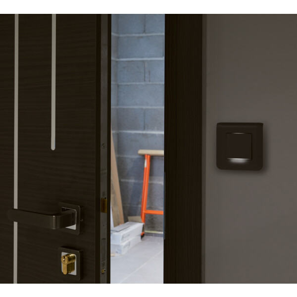 Plaque de finition Mosaic pour 2 modules noir mat - Legrand - 079042L
