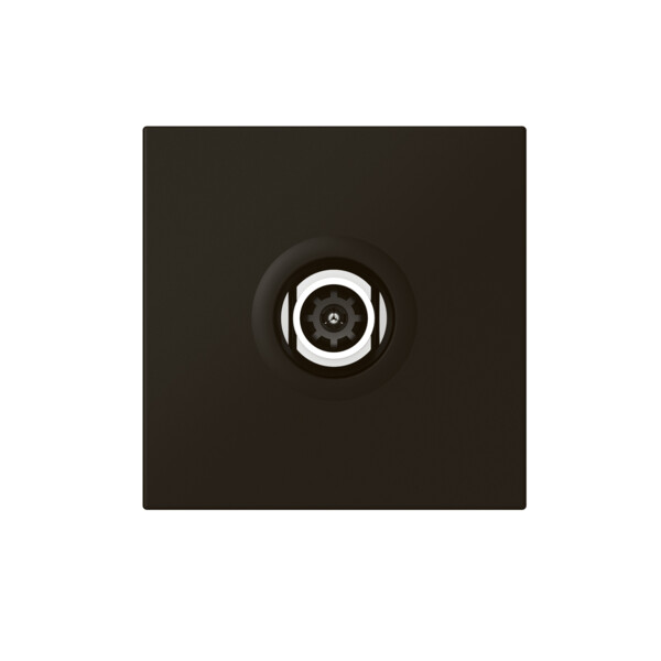 Prise télévision Ø9,52mm mâle Mosaic 2 modules – noir mat - Legrand - 079182L