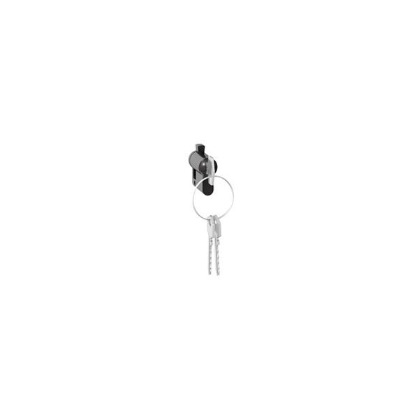 Barillet européen Legrand - avec 3 clés - Aluminium - IP20 - IK07 - Legrand - 069795