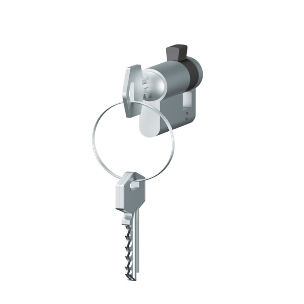 Barillet européen Legrand - avec 3 clés - Aluminium - IP20 - IK07 - Legrand - 069795