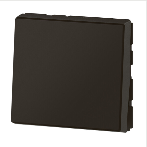Poussoir ou poussoir inverseur Mosaic Easy-led Legrand - 2 modules - à clipser - 250V - 6A - IP31 - IK04 - noir - Legrand - 079140L