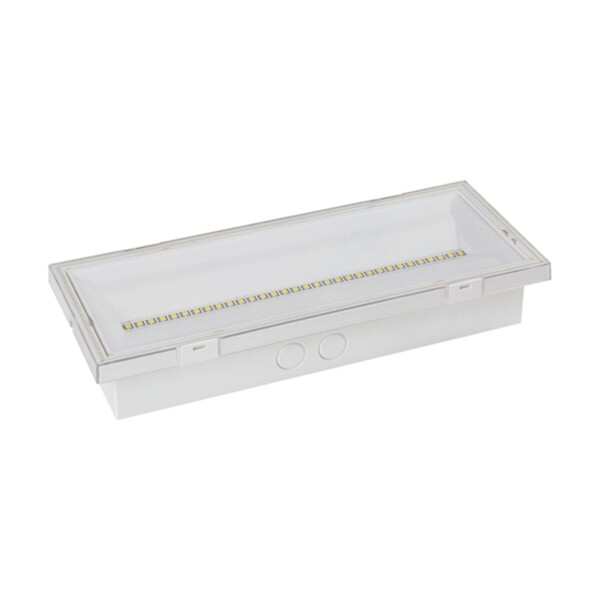 NEXITECH CG-S adressable - 1000lm - alimentation 220Vcc/ca - IP65 IK10 - Luminox - NEXI1000-CGS-IP