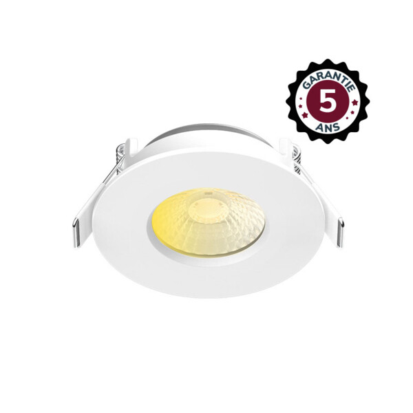 ECLAT CCT II SPOT FIXE 60° 6W 2700/3000/4000 IP65/5X DIM 5ANS - Miidex - 101129