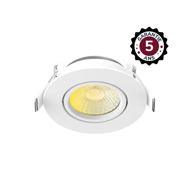 ECLAT CCT II SPOT ORIENT 60° 6W 2700/3000/4000 IP65/5X DIM 5ANS - Miidex - 101130