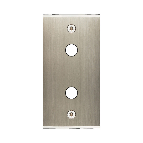 Façade étroite confidence laiton acier brossé 2 boutons push à vis - Modelec - 115412