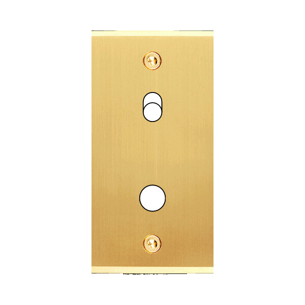 Façade étroite confidence laiton satiné 1 basculeur + 1 bouton push à vis - Modelec - 117419