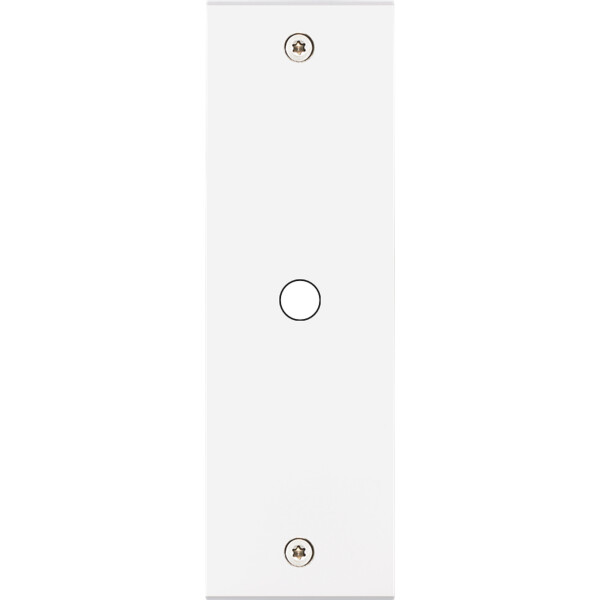 Façade Confidence Laiton  Blanc étroite longue 1 PUSH à vis (121-413) - Modelec - 121413