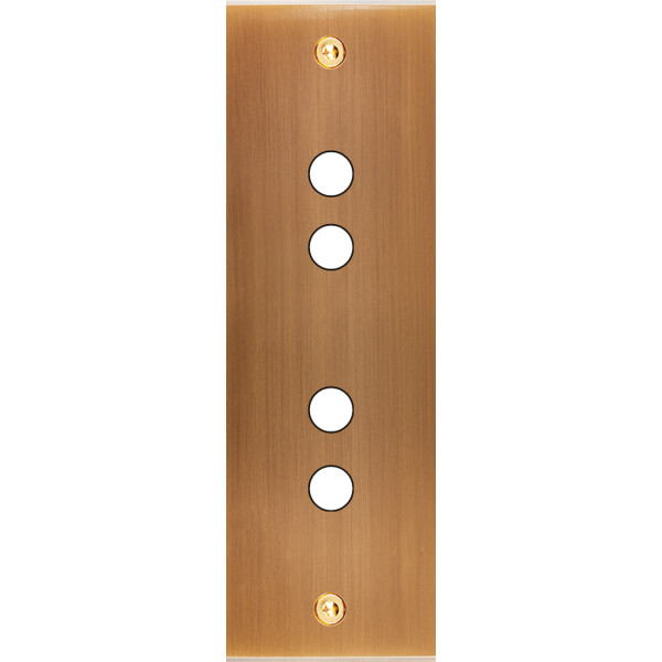 Façade Confidence Laiton  Vieux Bronze étroite longue 4 PUSH à vis (124-417) - Modelec - 124417