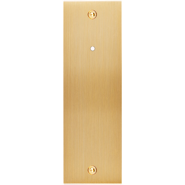 Façade confidence laiton brossé étroite longue 1 bouton push+led éloigné à vis - Modelec - 127410-L