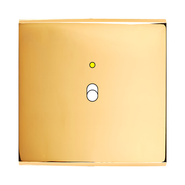 Façade confidence laiton or miroir simple 1 basculeur+led magnétique - Modelec - 131421M-L