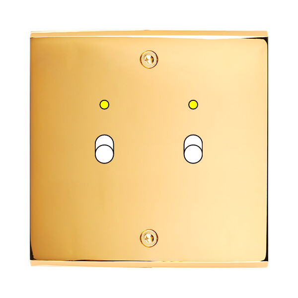 Façade confidence laiton or miroir simple 2 basculeurs+led à vis - Modelec - 132421-L