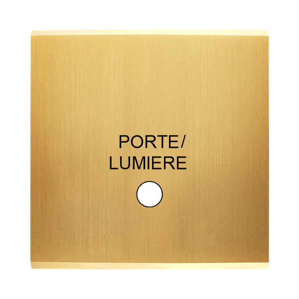 Façade  Confidence Laiton Satiné  simple guichet lumineux porte (149-419M) - Modelec - 149419M