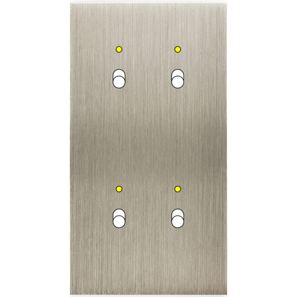 Façade confidence laiton acier brossé double verticale 2 basculeurs+led 2 basculeurs+led magnétique - Modelec - 154412M-L