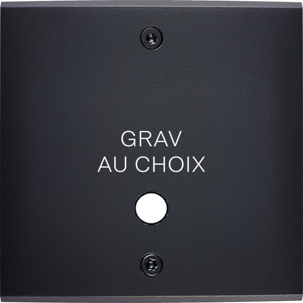 Façade confidence laiton noir mat simple guichet lumineux nuà vis - Modelec - 159408