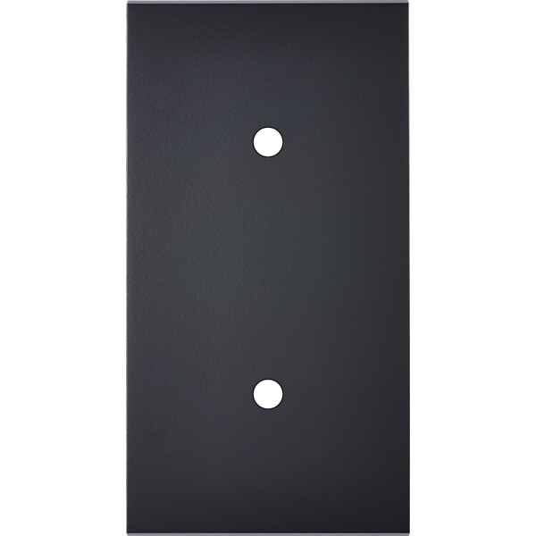 Façade Confidence Laiton  Noir double verticale 2 PUSH sans vis (162-408M) - Modelec - 162408M