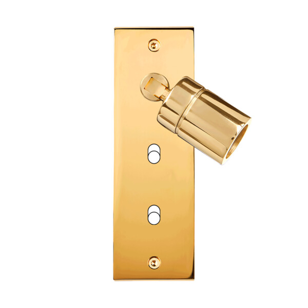 Façade Confidence Laiton  Or Miroir étroite longue 2 basculeurs + SPOT 360° (203-421) - Modelec - 203421
