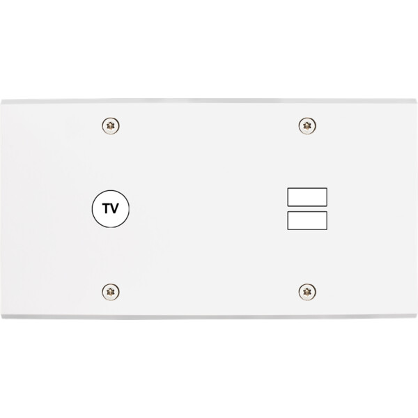 Façade confidence laiton blanc mat double horizontale 1 tv ouverture pour chargeur double usb à vis - Modelec - 255413