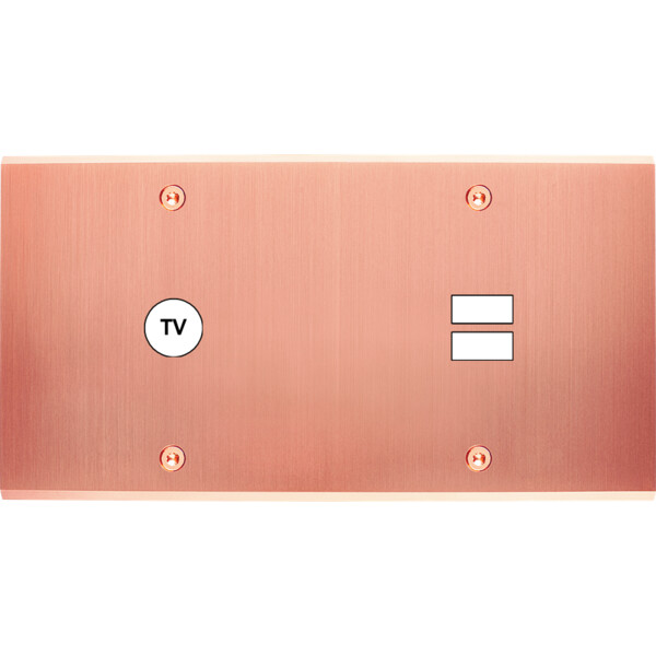 Façade confidence laiton cuivre satiné double horizontale 1 tv ouverture pour chargeur double usb à vis - Modelec - 255423