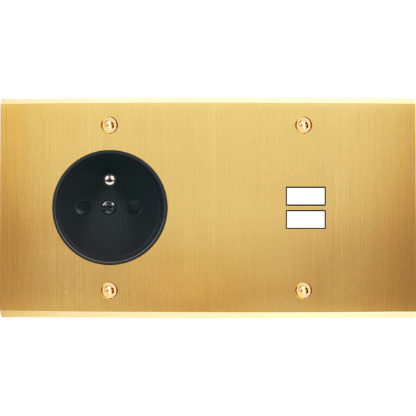 Façade confidence laiton satiné double horizontale prise de courant 2p+t ouverture pour chargeur double usb à vis - Modelec - 259419