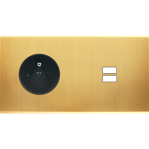 Façade confidence laiton satiné double horizontale prise de courant 2p+t ouverture pour chargeur double usb  - Modelec - 259419M