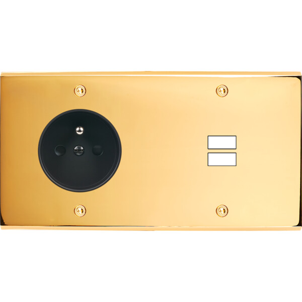 Façade confidence laiton or miroir double horizontale prise de courant 2p+t ouverture pour chargeur double usb à vis - Modelec - 259421
