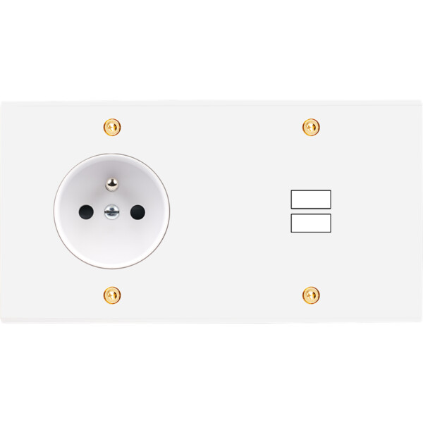Façade confidence laiton blanc email double horizontale prise de courant 2p+t ouverture pour chargeur double usb à vis - Modelec - 259424