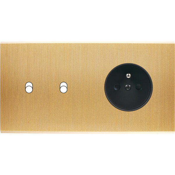 Façade Confidence Laiton Brossé double horizontale 2 basculeurs PC sans vis (262-410M) - Modelec - 262410M