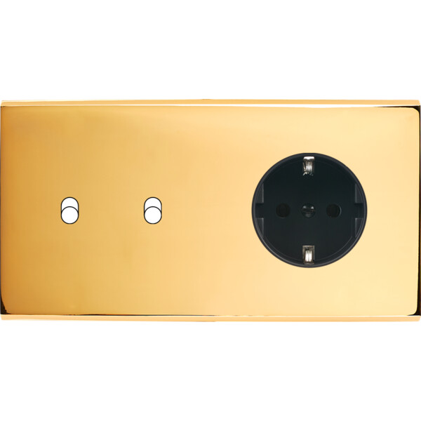 Façade confidence laiton or miroir double horizontale 2 basculeurs 1 prise schuko magnétique - Modelec - 262421M-K