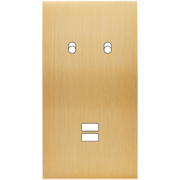 Façade confidence laiton brossé double verticale 2 basculeurs ouverture pour chargeur double usb  - Modelec - 294410M