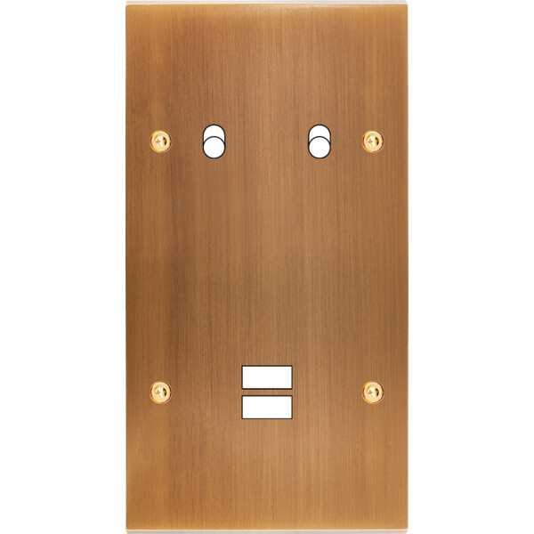 Façade confidence laiton vieux bronze double verticale 2 basculeurs ouverture pour chargeur double usb à vis - Modelec - 294417