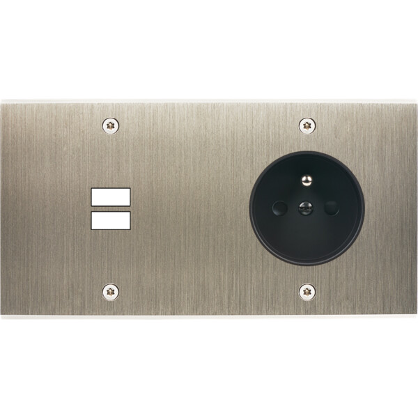 Façade confidence laiton acier brossé double horizontale ouverture pour chargeur double usb prise de courant 2p+t à vis - Modelec - 295412