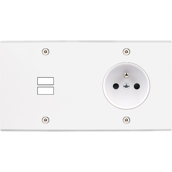 Façade confidence laiton blanc mat double horizontale ouverture pour chargeur double usb prise de courant 2p+t à vis - Modelec - 295413