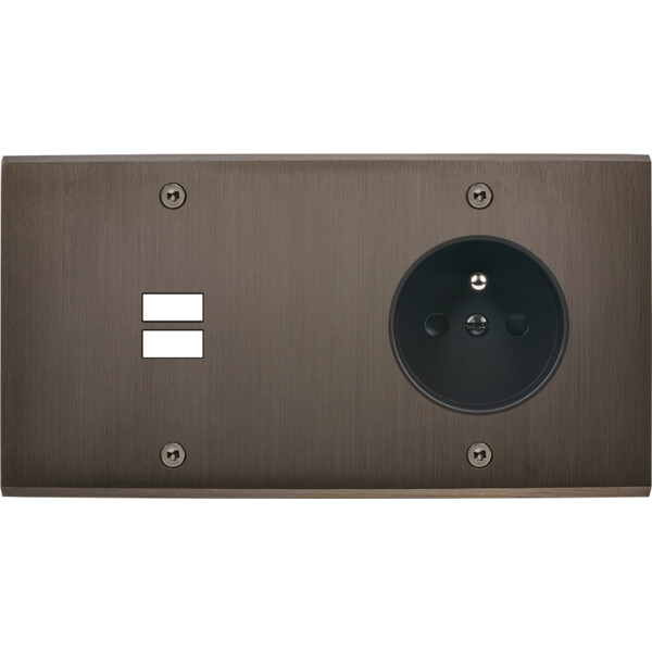 Façade confidence laiton canon de fusil double horizontale ouverture pour chargeur double usb prise de courant 2p+t à vis - Modelec - 295414