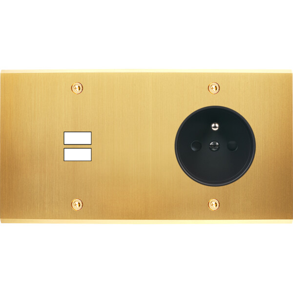 Façade confidence laiton satiné double horizontale ouverture pour chargeur double usb prise de courant 2p+t à vis - Modelec - 295419