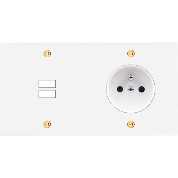 Façade confidence laiton blanc email double horizontale ouverture pour chargeur double usb prise de courant 2p+t à vis - Modelec - 295424