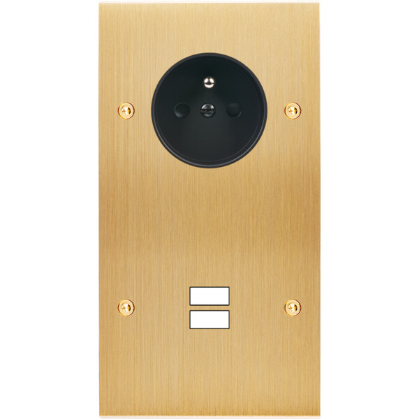 Façade confidence laiton brossé double verticale prise de courant 2p+t ouverture pour chargeur double usb à vis - Modelec - 299410