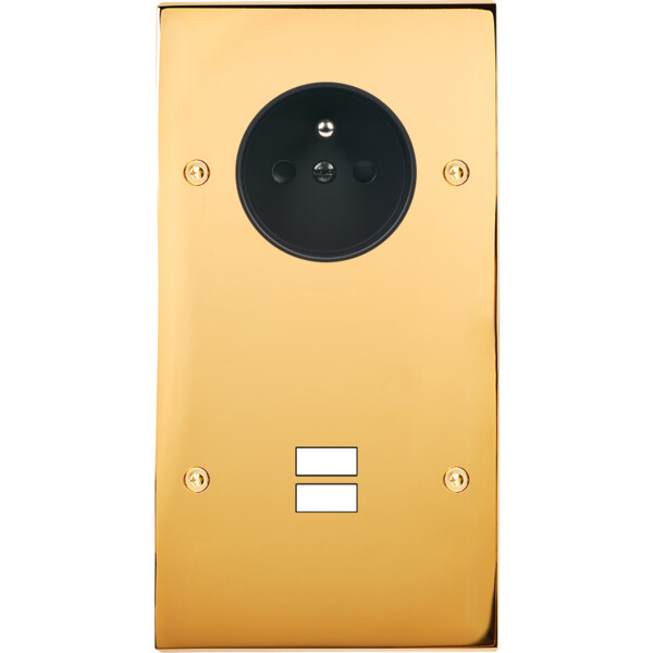 Façade confidence laiton or miroir double verticale prise de courant 2p+t ouverture pour chargeur double usb à vis - Modelec - 299421