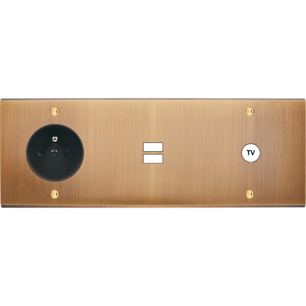 Façade confidence laiton vieux bronze triple horizontale prise de courant 2p+t ouverture pour chargeur double usb 1 tv vis - Modelec - 332417