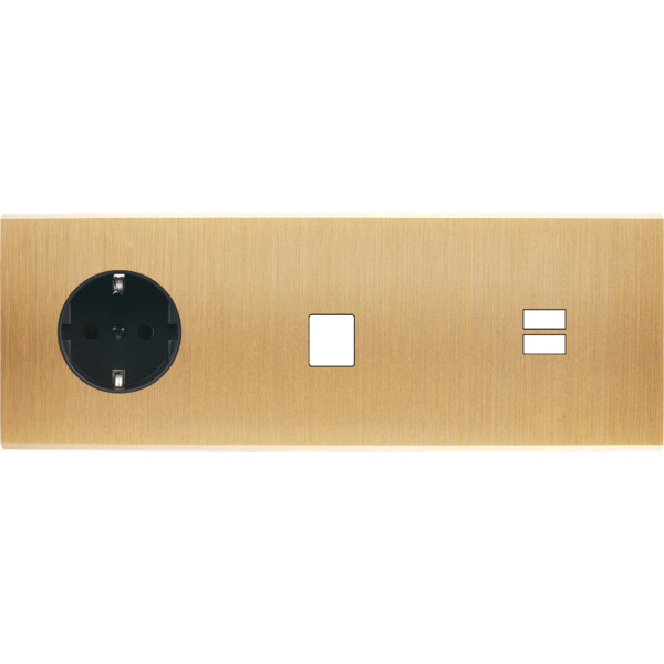 Façade confidence laiton brossé triple horizontale prise schuko 2p+t 1 média ouverture pour chargeur double usb  - Modelec - 334410M-K