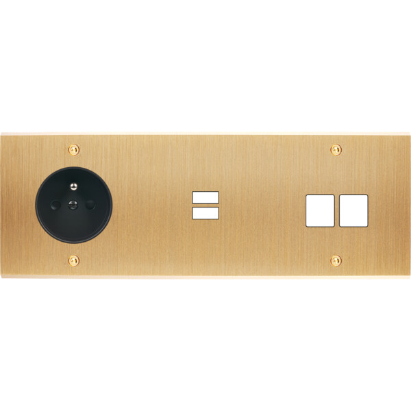 Façade confidence laiton brossé triple horizontale prise de courant 2p+t ouverture pour chargeur double usb 2 média vis - Modelec - 336410