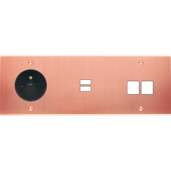 Façade confidence laiton cuivre satiné triple horizontale prise de courant 2p+t ouverture pour chargeur double usb 2 média vis - Modelec - 336423