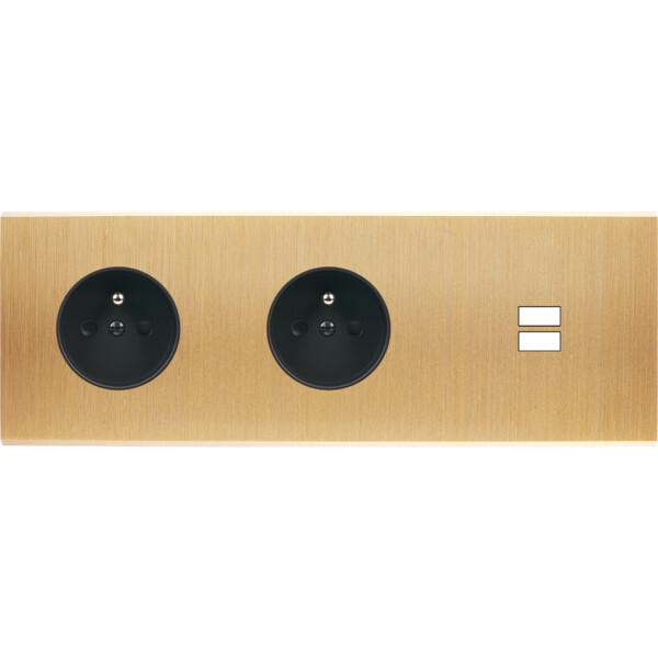 Façade confidence laiton brossé triple horizontale prise de courant 2p+t prise de courant 2p+t ouverture pour chargeur double usb  - Modelec - 337410M