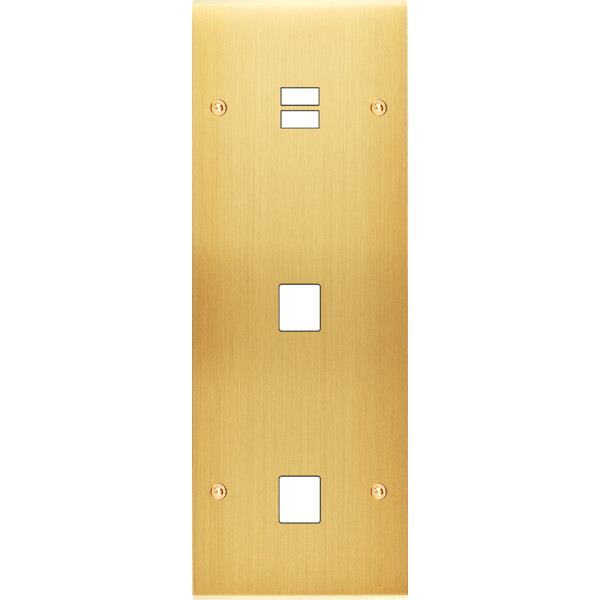 Façade confidence laiton satiné triple verticale ouverture pour chargeur double usb 1 média 1 média vis - Modelec - 381419