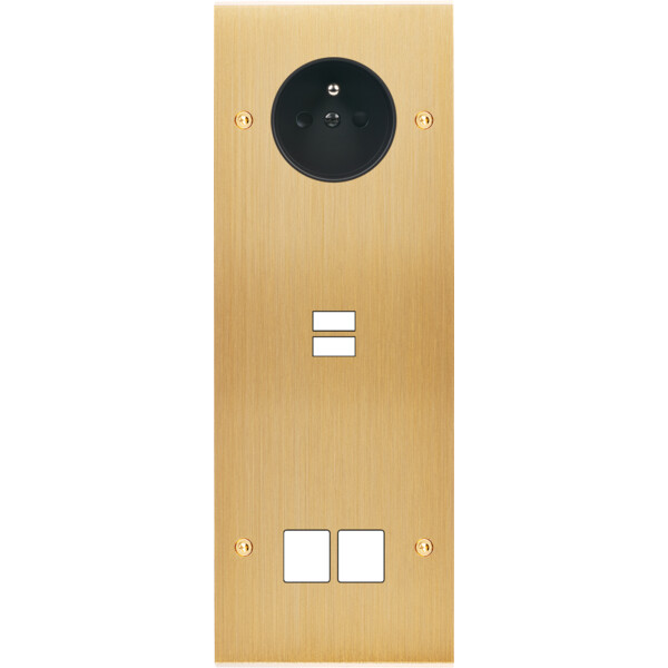 Façade confidence laiton brossé triple verticale prise de courant 2p+t ouverture pour chargeur double usb 2 média vis - Modelec - 386410