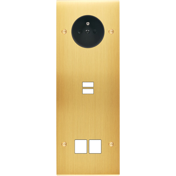 Façade confidence laiton satiné triple verticale prise de courant 2p+t ouverture pour chargeur double usb 2 média vis - Modelec - 386419