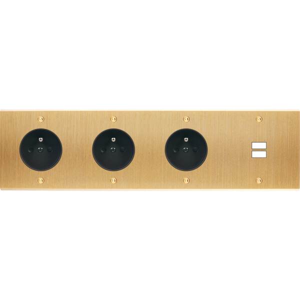 Façade confidence laiton brossé quadruple horizontale prise de courant 2p+t prise de courant 2p+t prise de courant 2p+t ouverture pour chargeur double usb vis - Modelec - 436410
