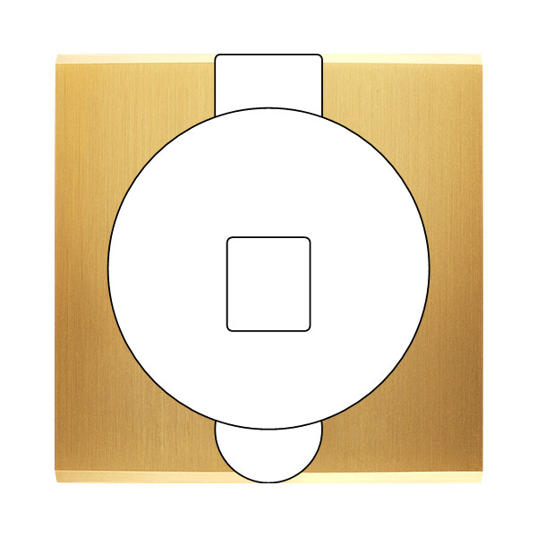 Façade confidence laiton satiné simple prise sol 1 emplacement pour chargeur usb ou média - Modelec - 902419