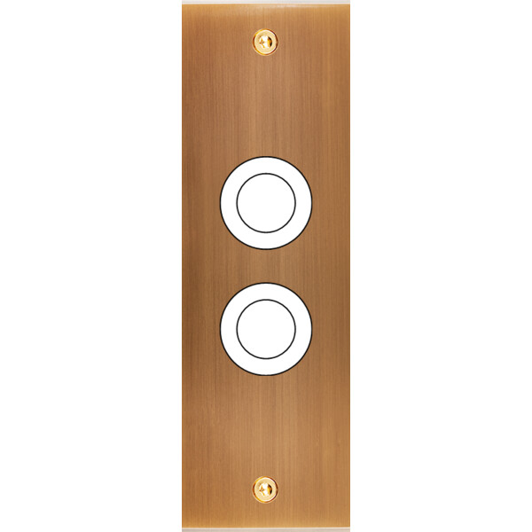 Façade Confidence Laiton  Vieux Bronze étroite longue 2 gros PUSH à vis (129-417) - Modelec - 129417
