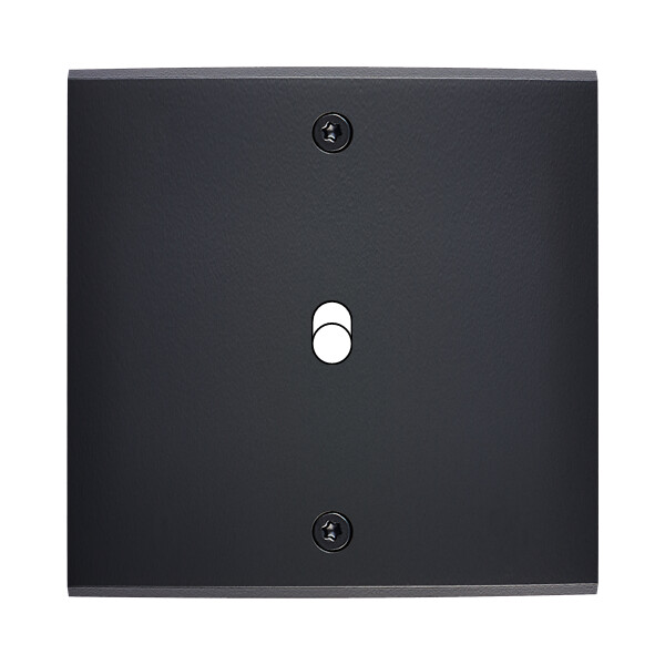 Façade Confidence Laiton  Noir simple 1 basculeur à vis (131-408) - Modelec - 131408